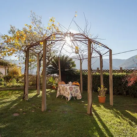 The Turtles Garden